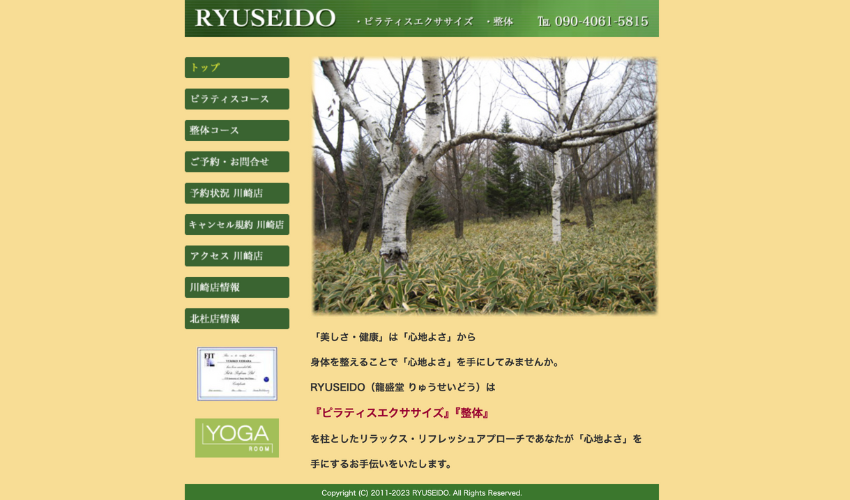 RYUSEIDO