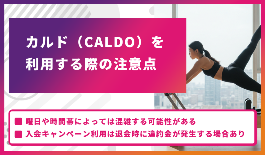 カルド（CALDO）を利用する際の注意点