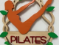 pilates-sayuri-logo